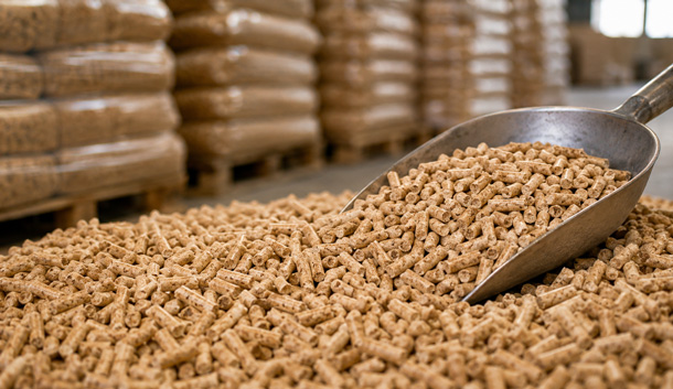 Nahaufnahme hochwertiger Holzpellets mit Metallschaufel in einem Pelletlager – Symbolbild für ENplus-zertifizierte Pelletqualität und kontrollierte Qualitätsstandards.
