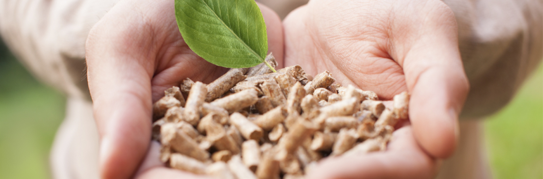 holzpellets