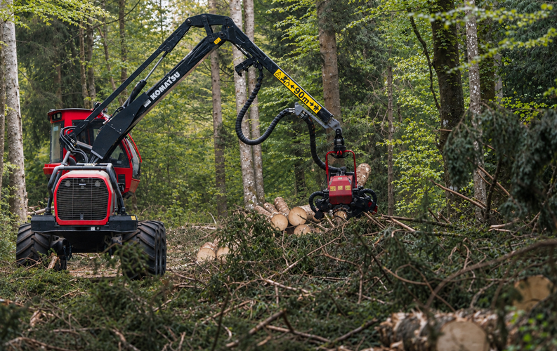 Forstmaschine bei der Holzernte in einem bewirtschafteten Wald